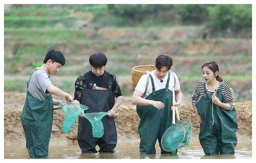 向往的生活5在线观看,田园生活新篇章，在线观看带你体验乡村魅力  第2张