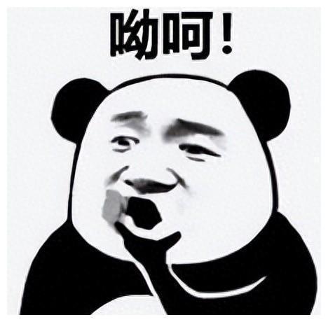 表情包式爆料新闻,新闻背后的爆笑真相  第2张